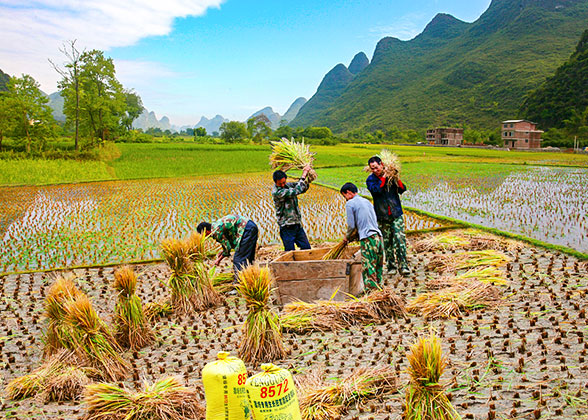 Yangshuo Countryside
